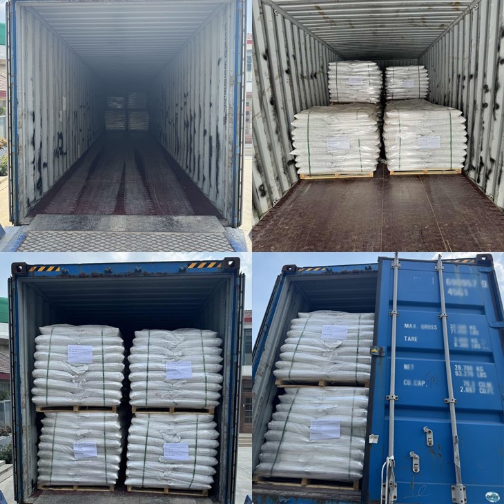 news-730-730 news-730-730